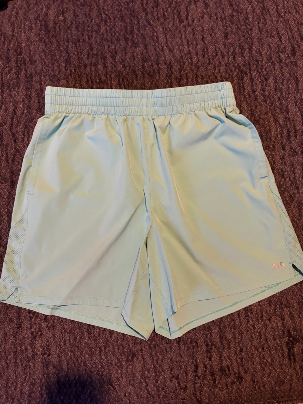 DSG Men's Mint Green Athletic Shorts — Lightweight Training